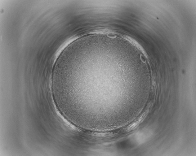 X0000060750855200511141157