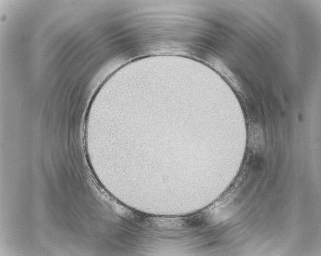 X0000060750856200511141157