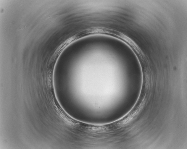 X0000060750857200511141157