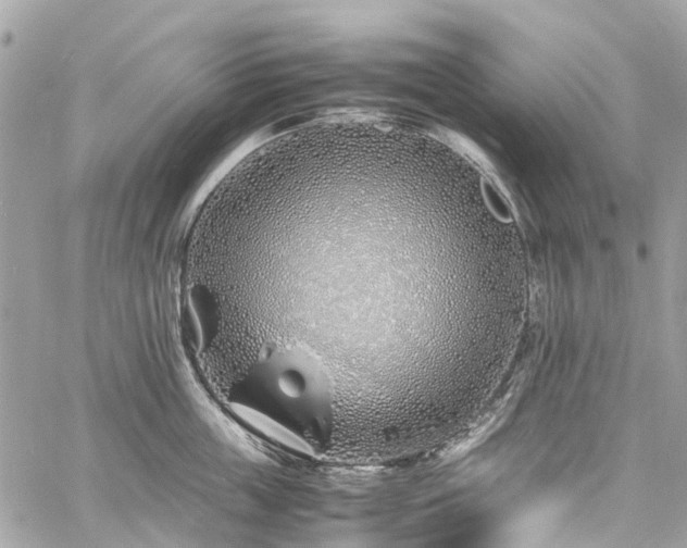 X0000060750859200511141157