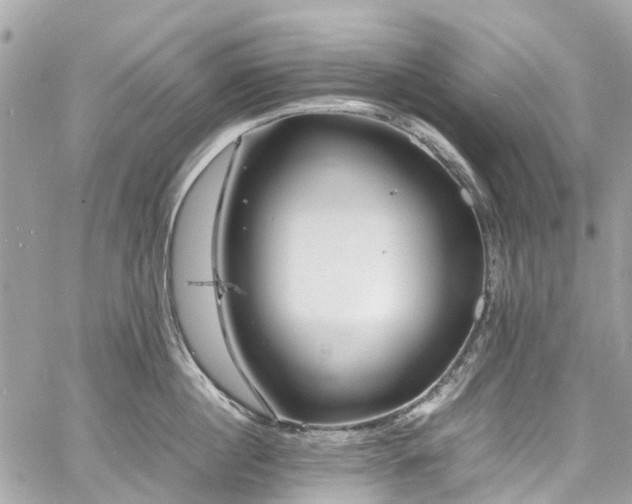 X0000060750860200511141157