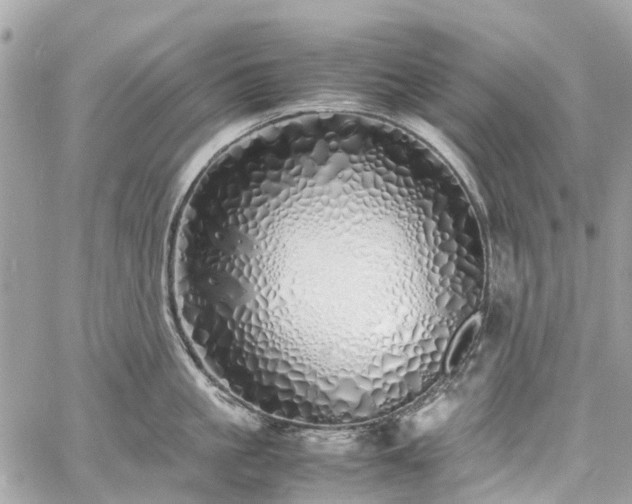 X0000060750861200511141157