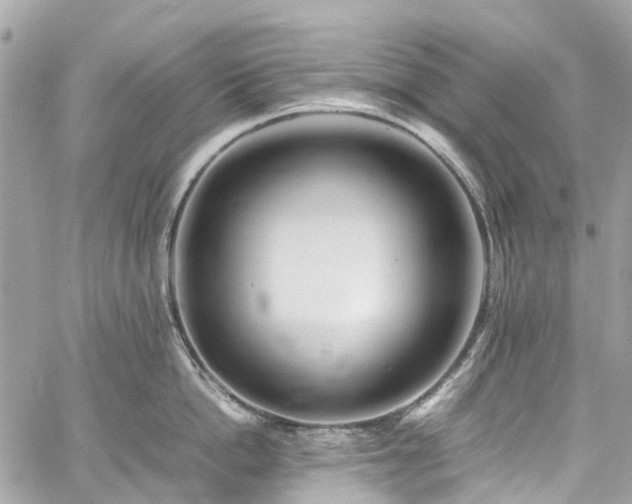 X0000060750862200511141157