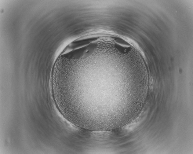 X0000060750863200511141157