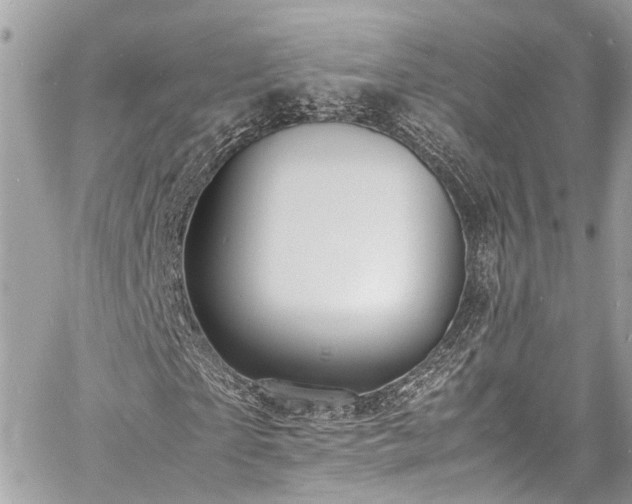 X0000060750865200511141156