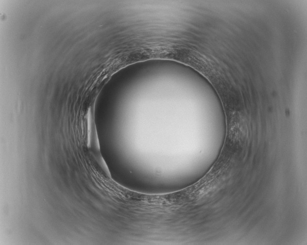 X0000060750866200511141156