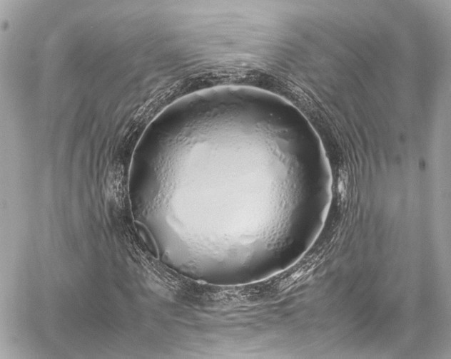 X0000060750867200511141156