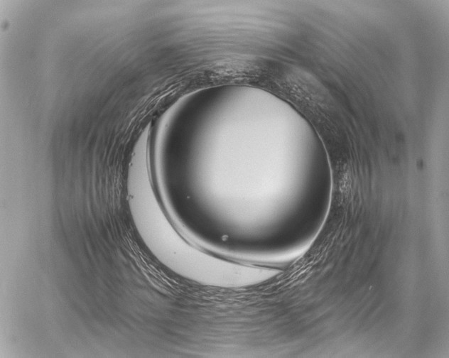 X0000060750868200511141156