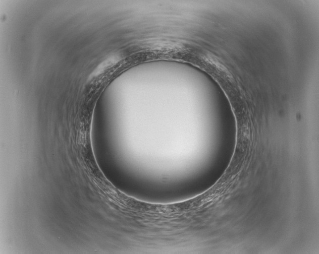 X0000060750869200511141156