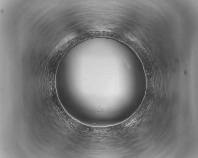 X0000060750870200511141156