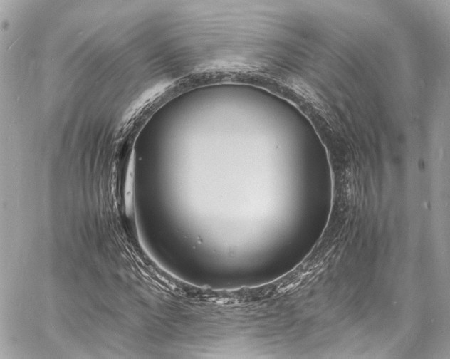 X0000060750872200511141156