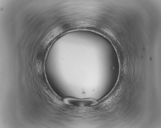 X0000060750873200511141156