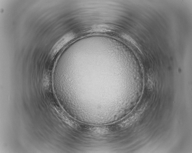 X0000060750874200511141156