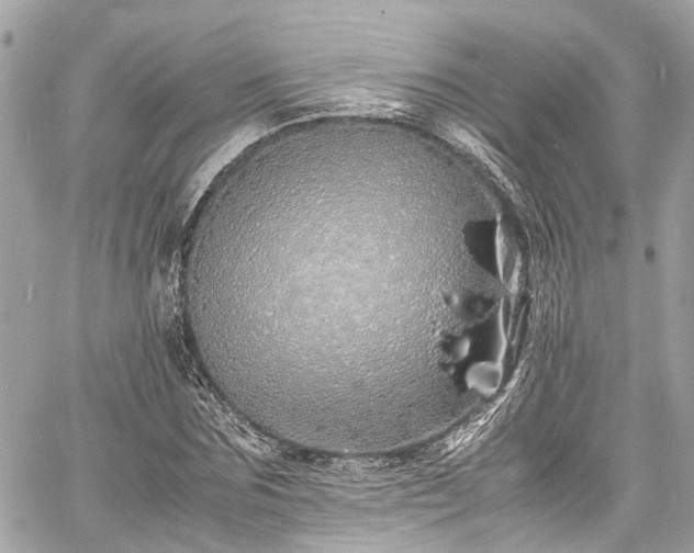 X0000060750875200511141156