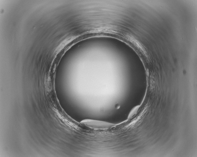 X0000060750876200511141156