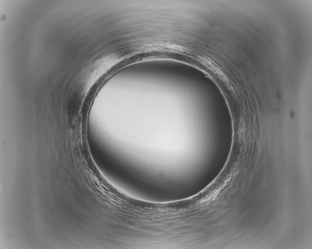 X0000060750877200511141156