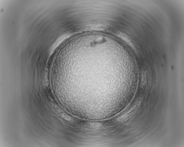 X0000060750878200511141156