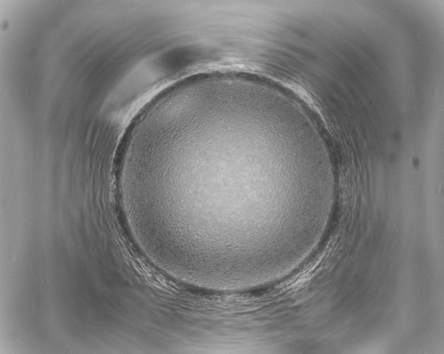 X0000060750879200511141156