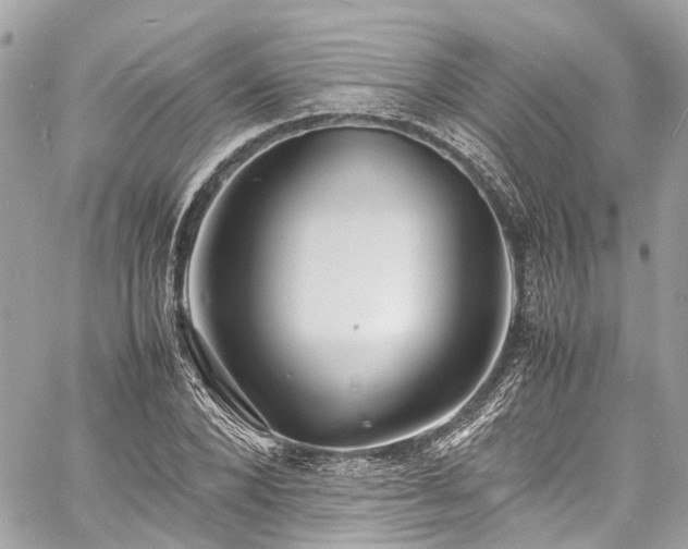 X0000060750880200511141156