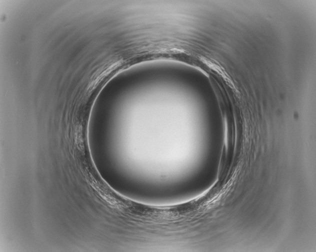 X0000060750881200511141156