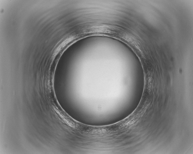 X0000060750882200511141156