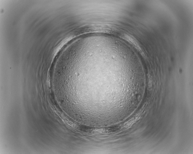 X0000060750883200511141156