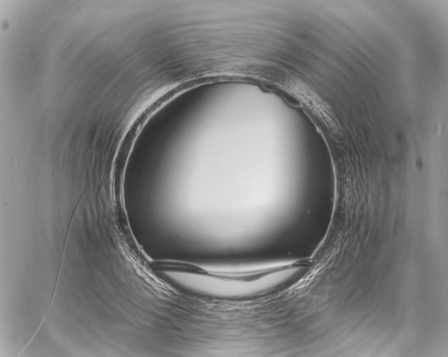 X0000060750884200511141156