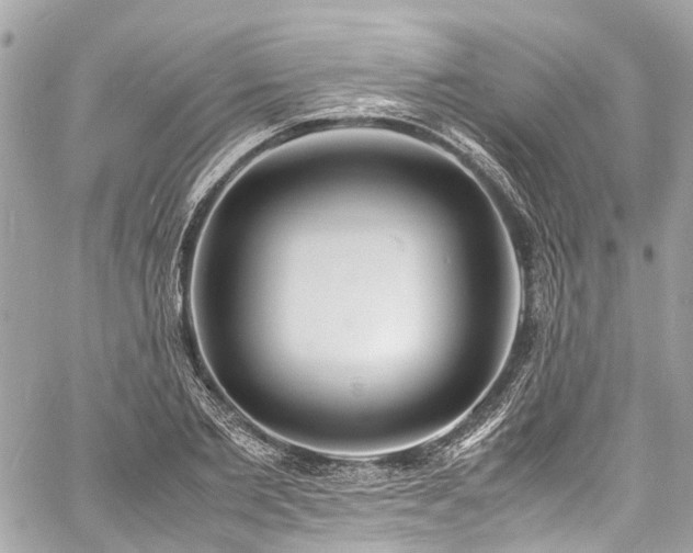 X0000060750885200511141156