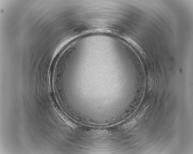 X0000060750886200511141156