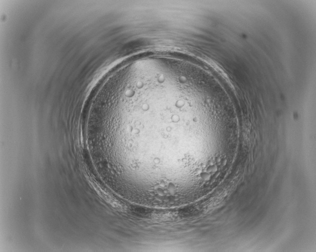 X0000060750887200511141156