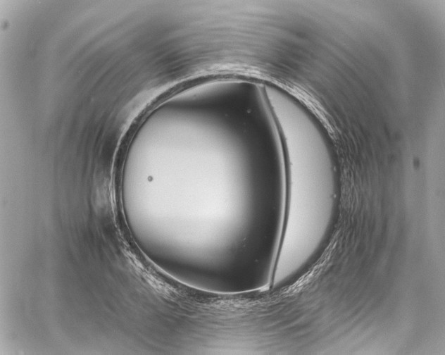 X0000060750888200511141156