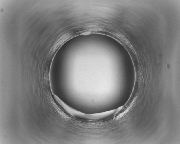 X0000060750889200511141156