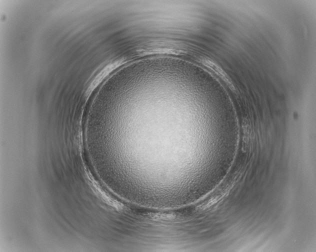 X0000060750890200511141156