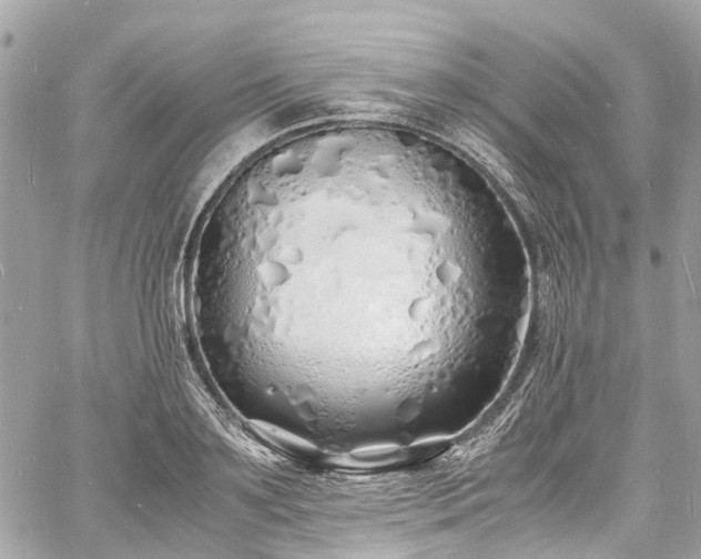 X0000060750891200511141156