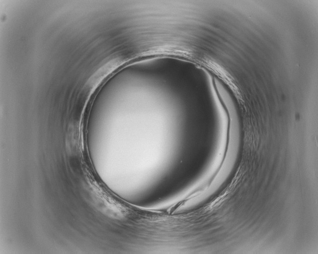 X0000060750892200511141156