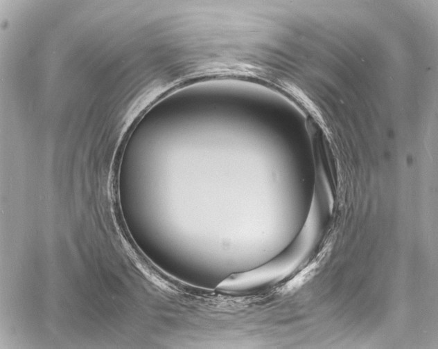 X0000060750893200511141156