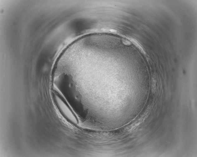 X0000060750895200511141156