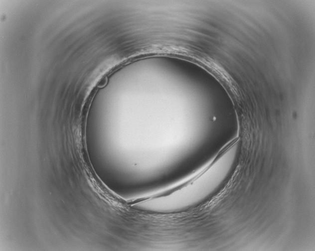 X0000060750896200511141156