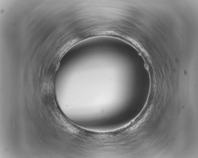 X0000060750897200511141156