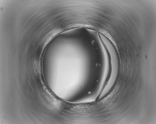 X0000060750898200511141156