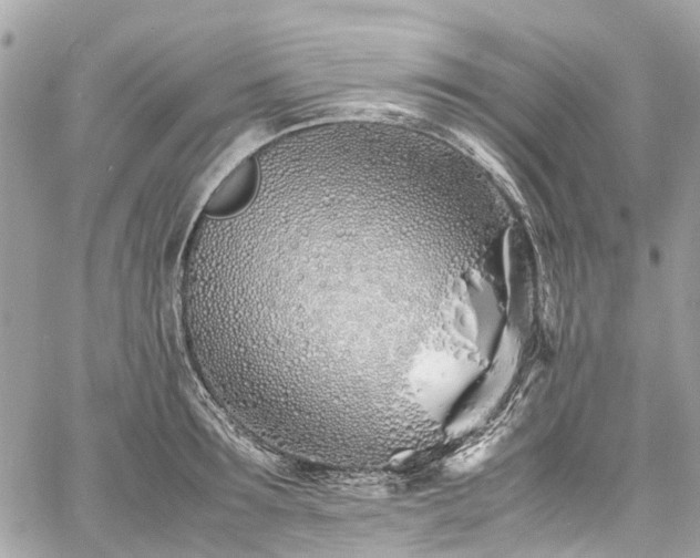 X0000060750899200511141156