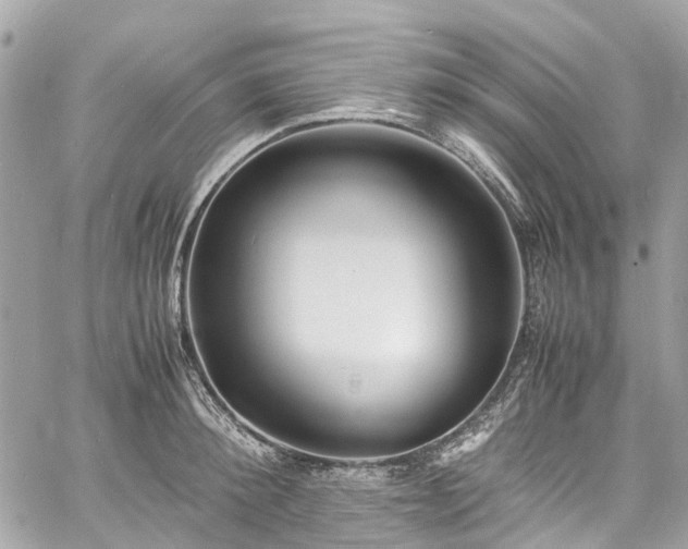 X0000060750900200511141156