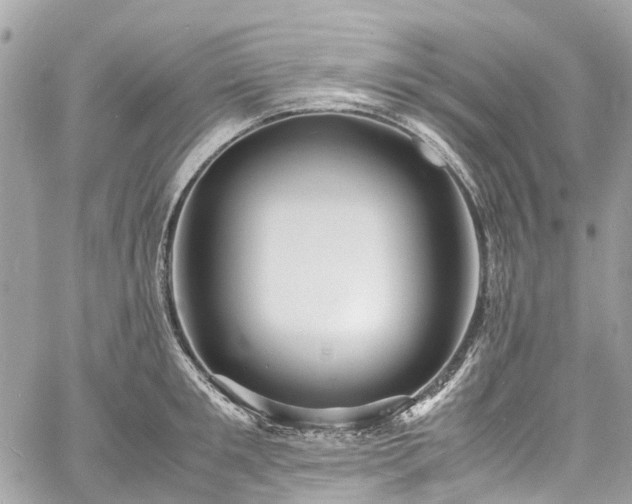 X0000060750901200511141156