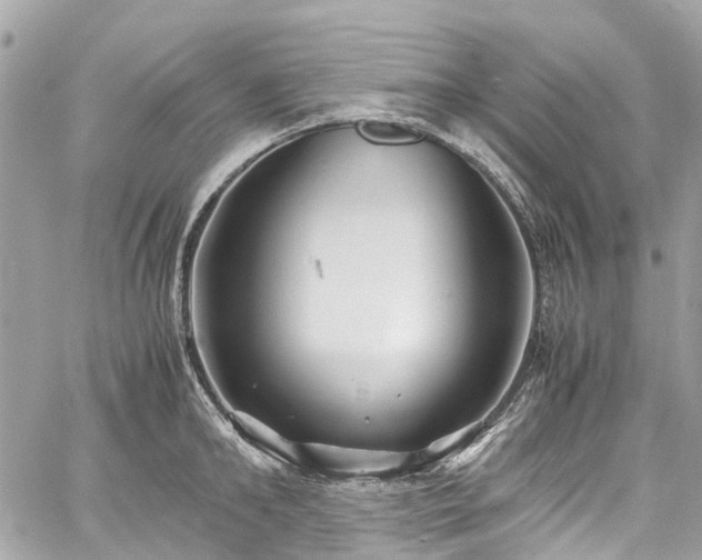 X0000060750902200511141156