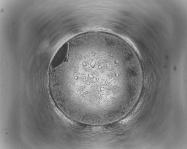 X0000060750903200511141156