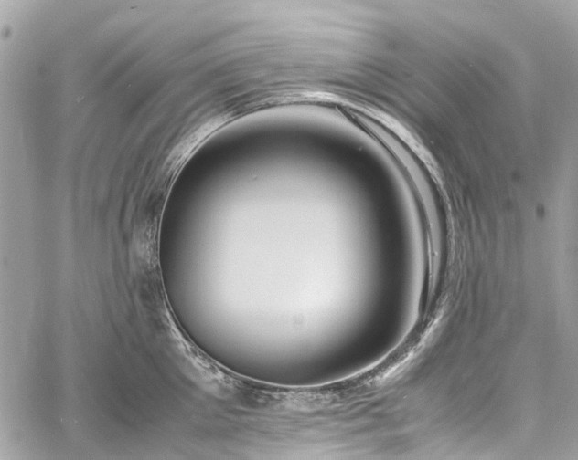 X0000060750905200511141156