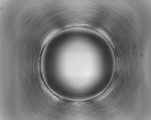 X0000060750906200511141156