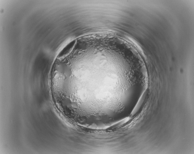 X0000060750907200511141155