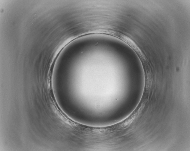 X0000060750908200511141155