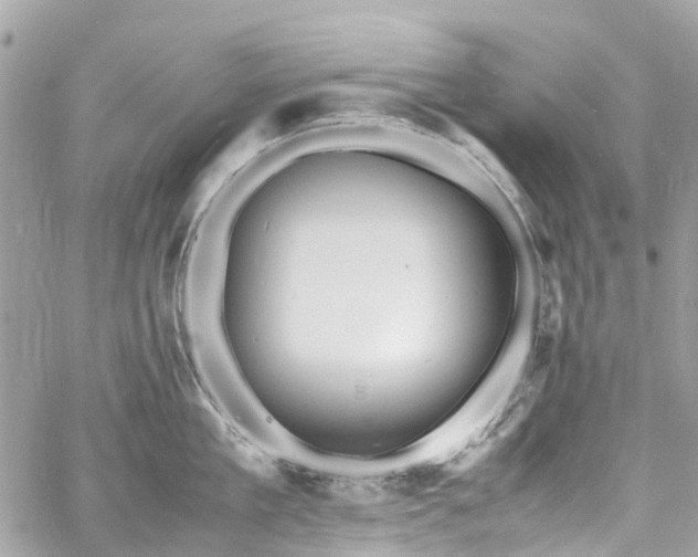 X0000060750909200511141155